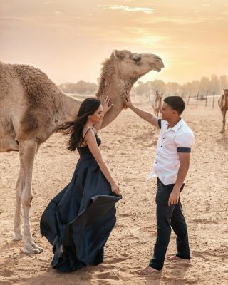 Professional Dubai photographer capturing a couple touching a camel during a desert lifestyle photoshoot.